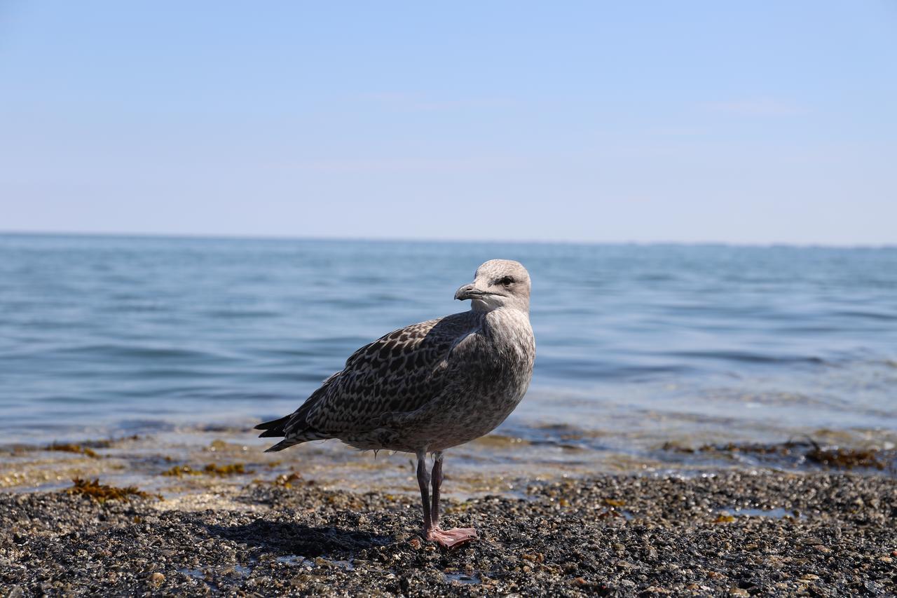 Mein Urlaub Auf Sylt Westerland